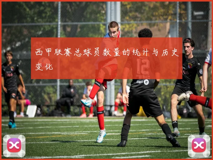 西甲联赛总球员数量的统计与历史变化