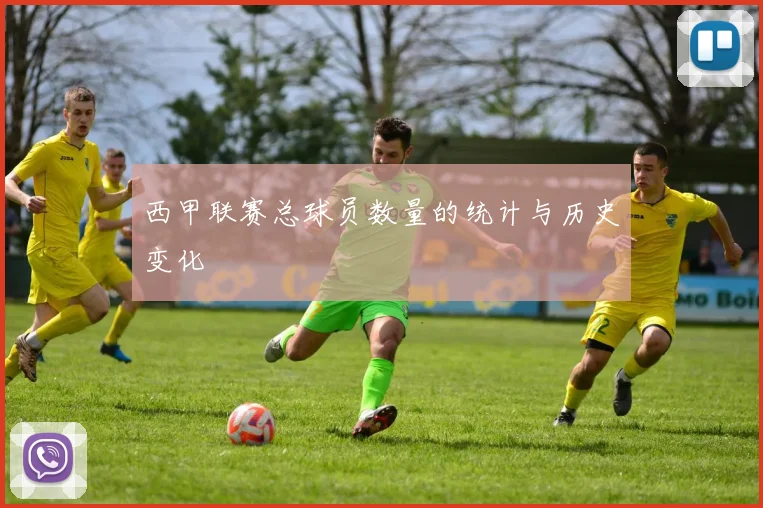 西甲联赛总球员数量的统计与历史变化