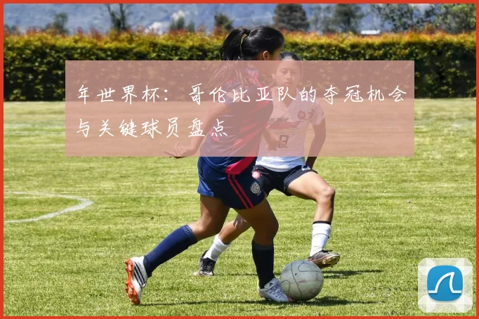 年世界杯：哥伦比亚队的夺冠机会与关键球员盘点