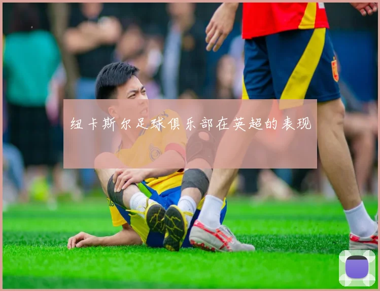 纽卡斯尔足球俱乐部在英超的表现